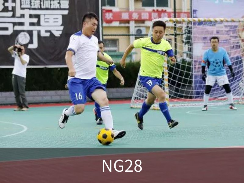 NG28简介